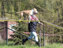 5T0A8288.jpg